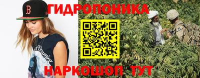 стаф Краснодар