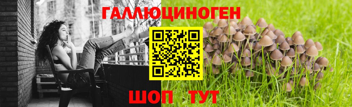 Галлюциногенные грибы Magic Shrooms  Вход с VPN  Красноармейск 